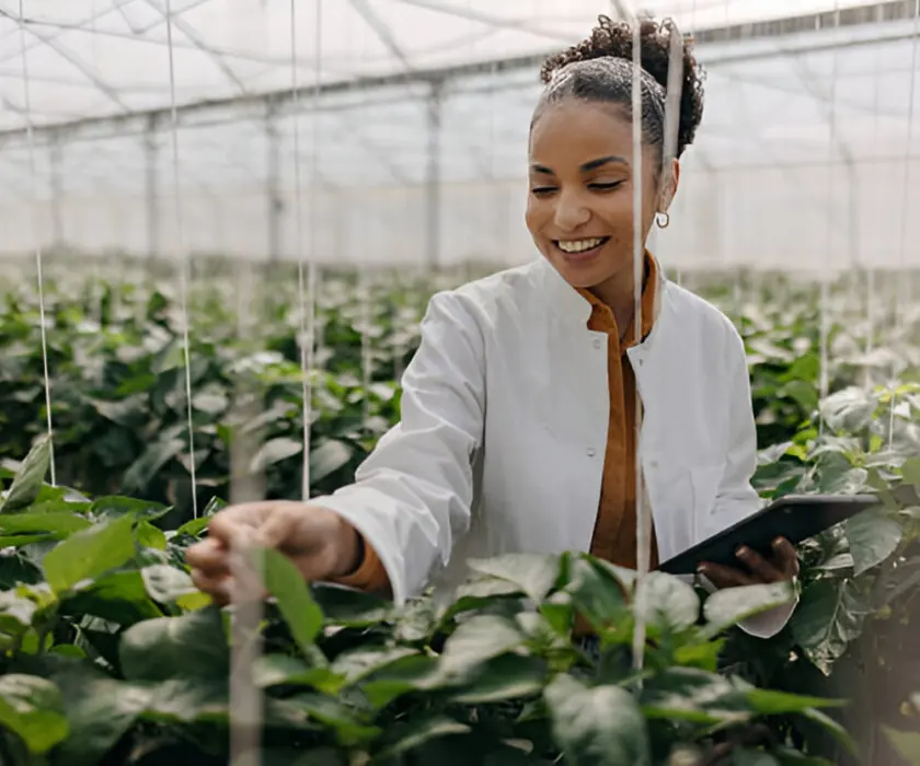 Travail de terrain dans une exploitation agricole